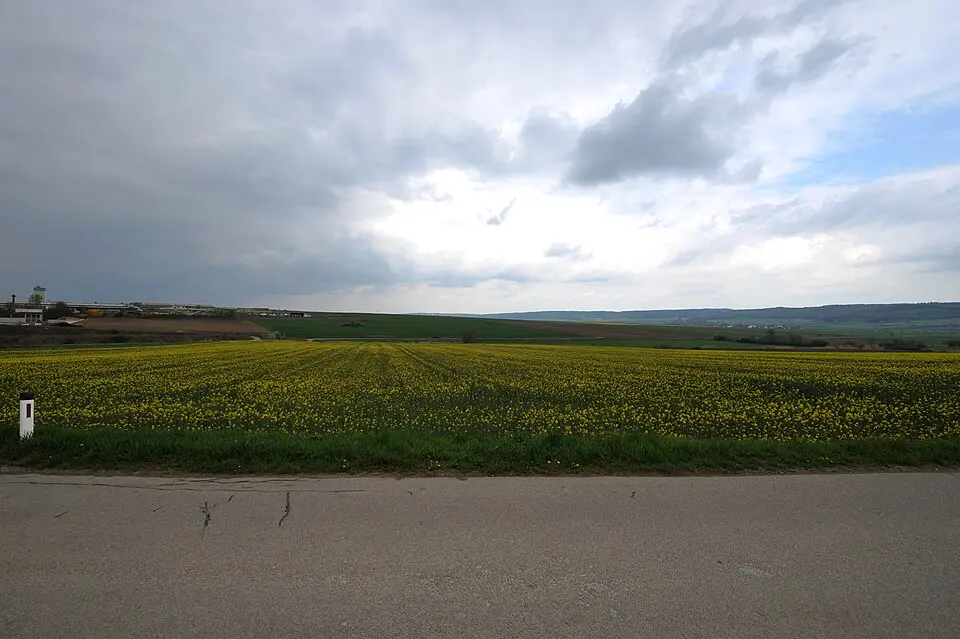 Fundzone Zwischen den Wegen/Teichfeld