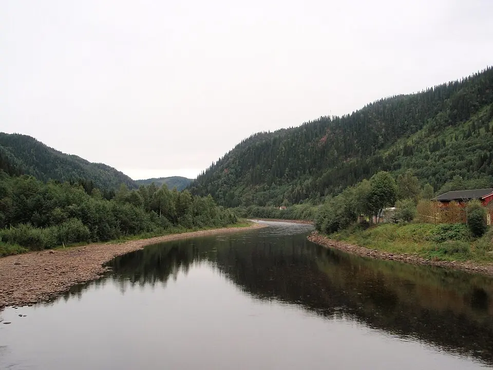 Gaula