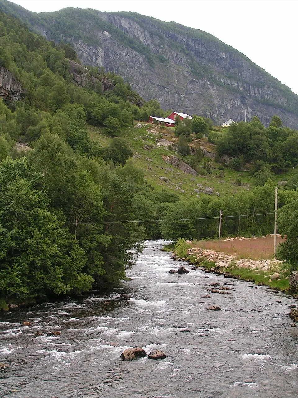 Gaula