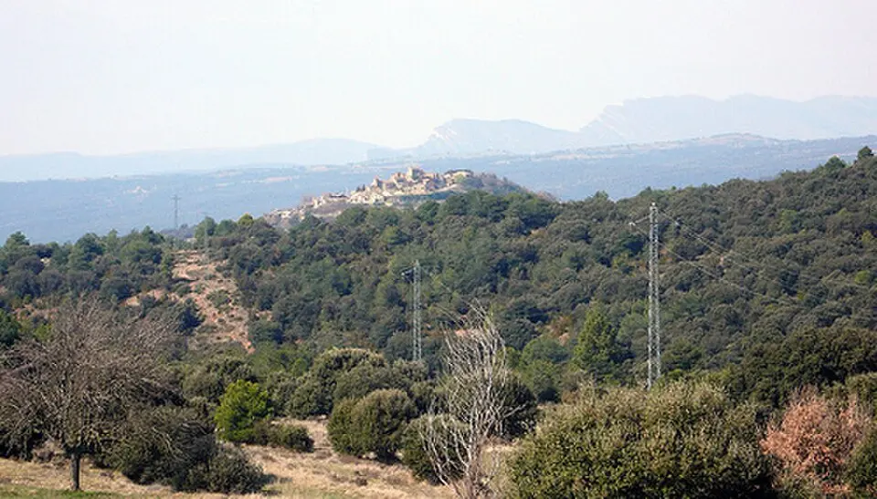 Gavarra