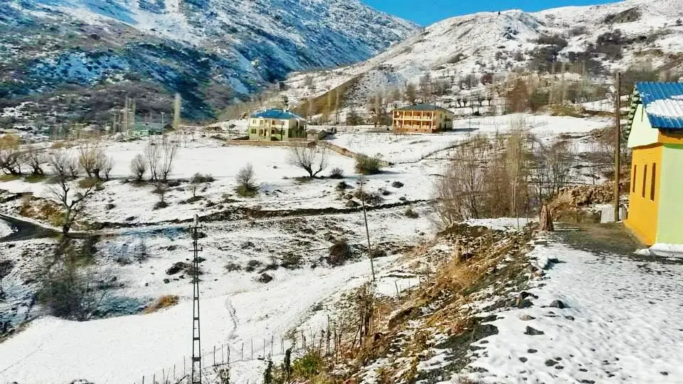 Cevizağacı