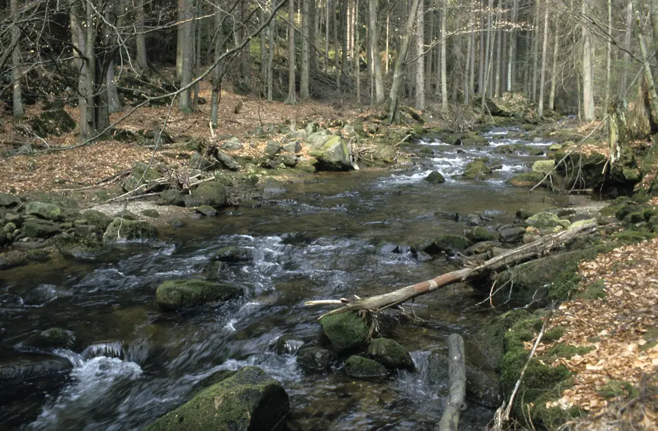 Bystrzyca Łomnicka