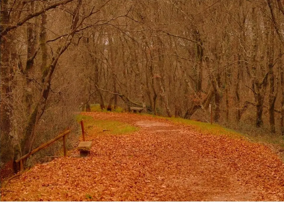 Gándaras de Budiño