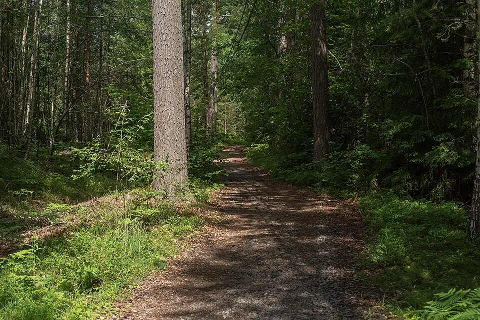 Gällnö naturreservat