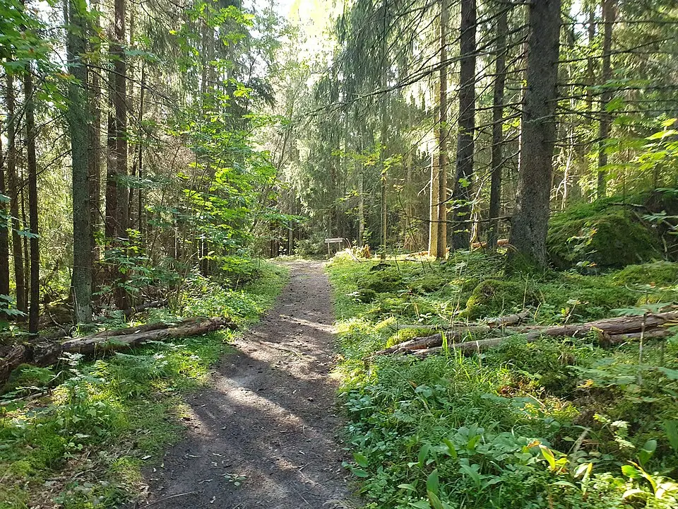Näset naturreservat
