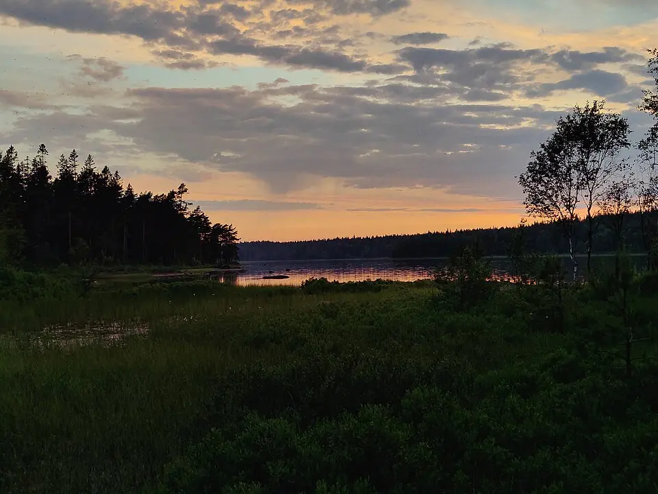 Tränningens naturreservat