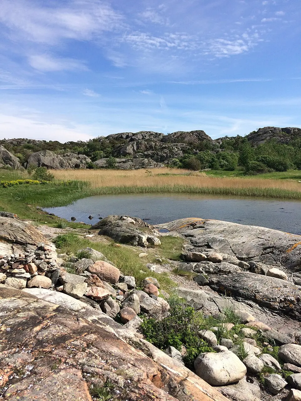 Gåsevik