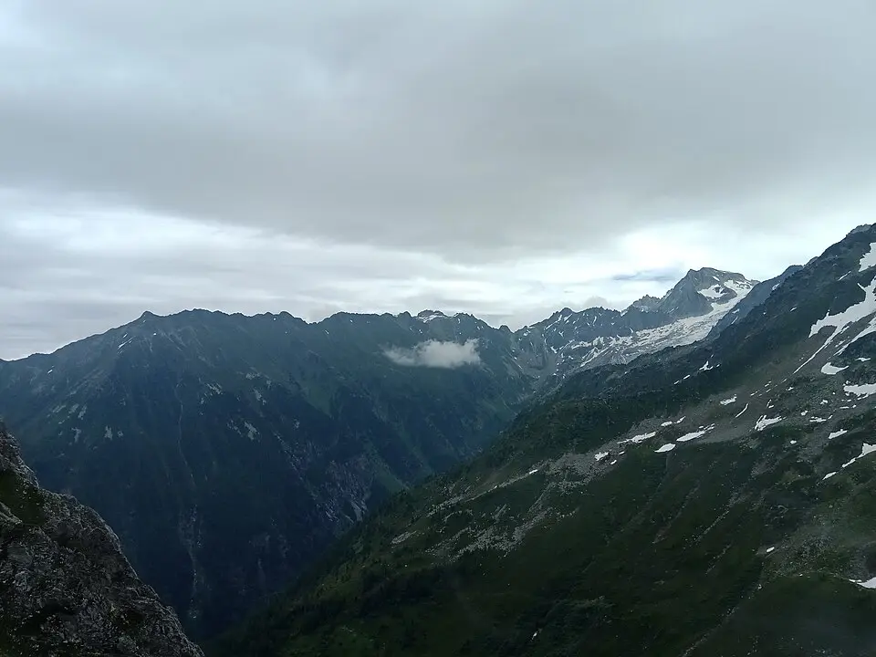 Le Génépi