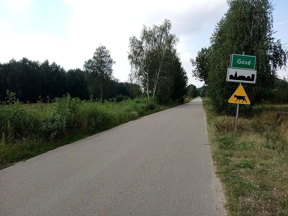 Gózd
