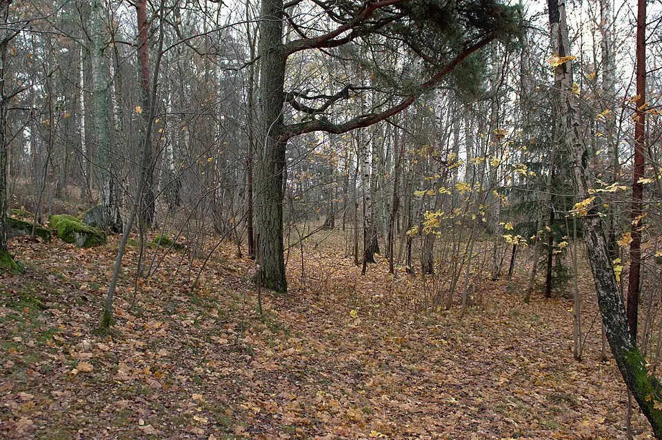 Gökstenens naturreservat