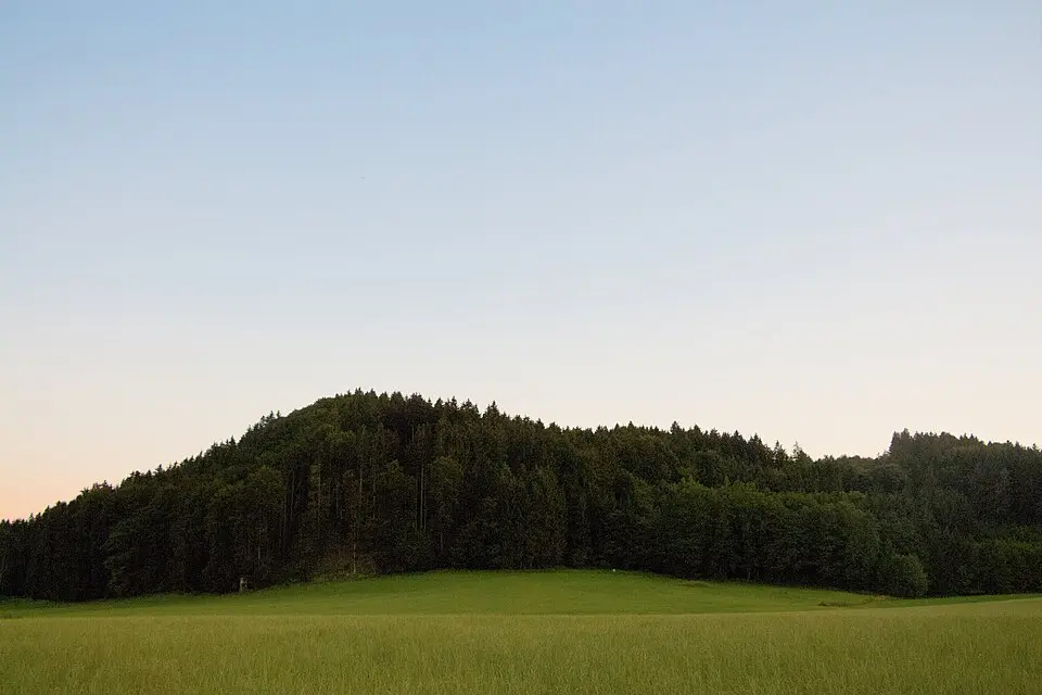 Obrázek: Ewald Ehtreiber · CC BY-SA 4.0 Wachtberg