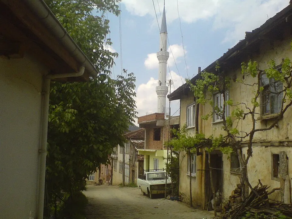 Gözede