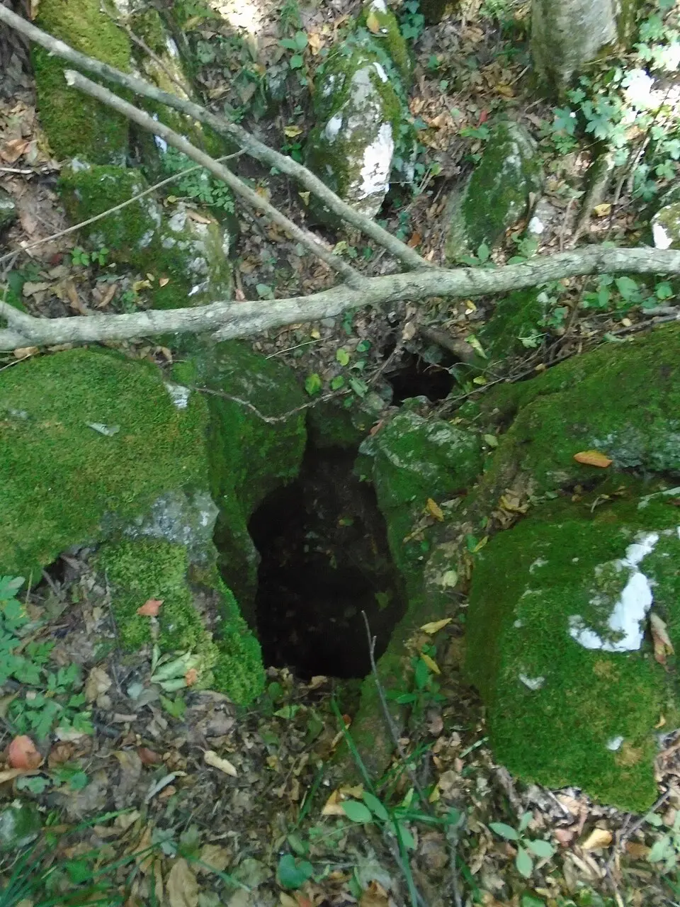 Gőte-zsomboly