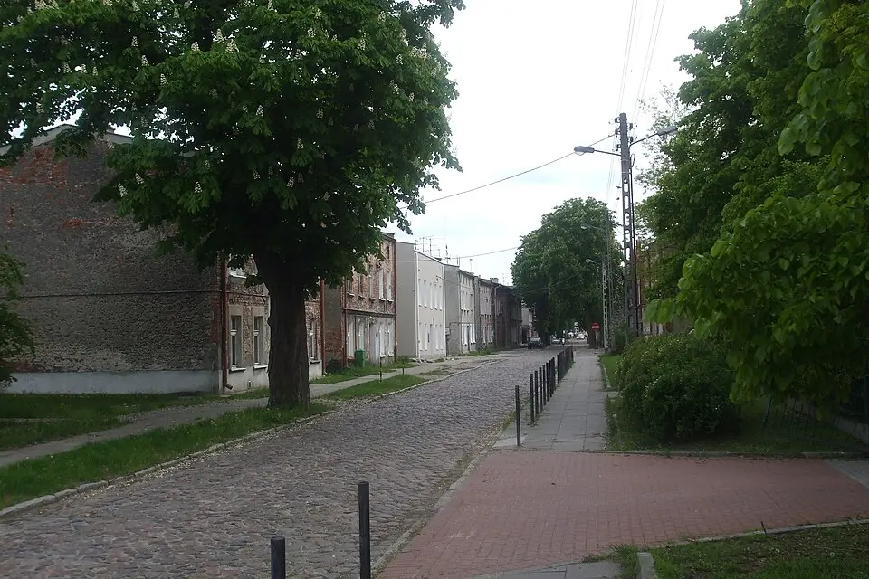 Letnica