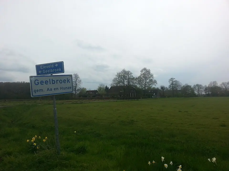 Geelbroek