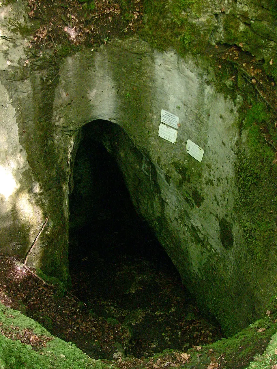 Slika: Derzno · CC BY 3.0 Geisloch bei Münzinghof