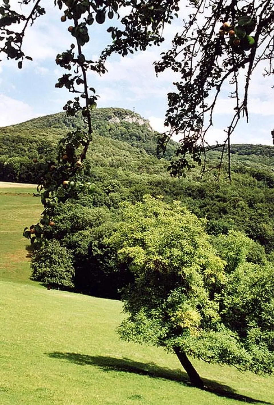 Gempenplateau