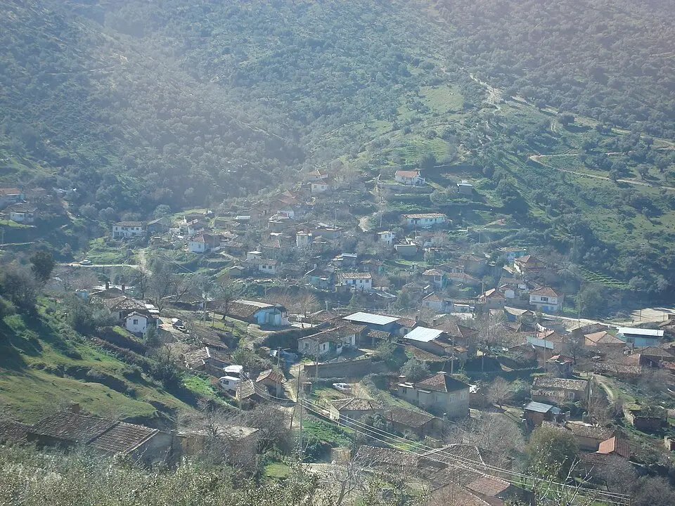 Şahnalı