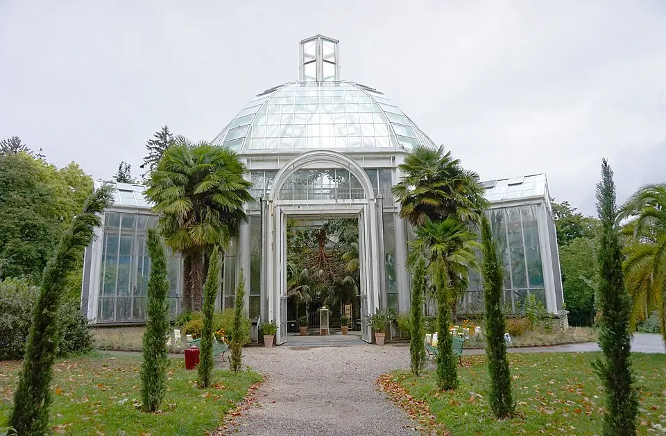 Image: Tiia Monto · CC BY-SA 3.0 Jardin Botanique de Genève