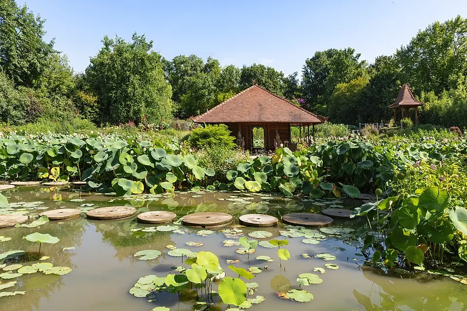 Jardins des Martels