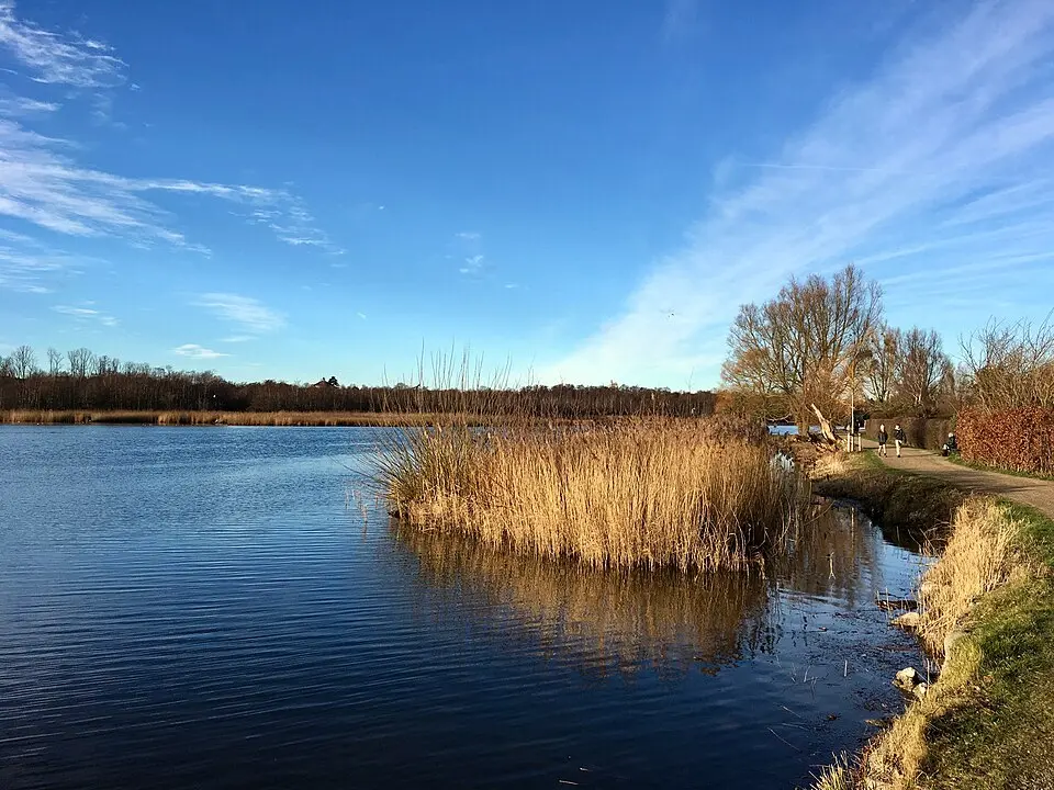 Gentofte Sø