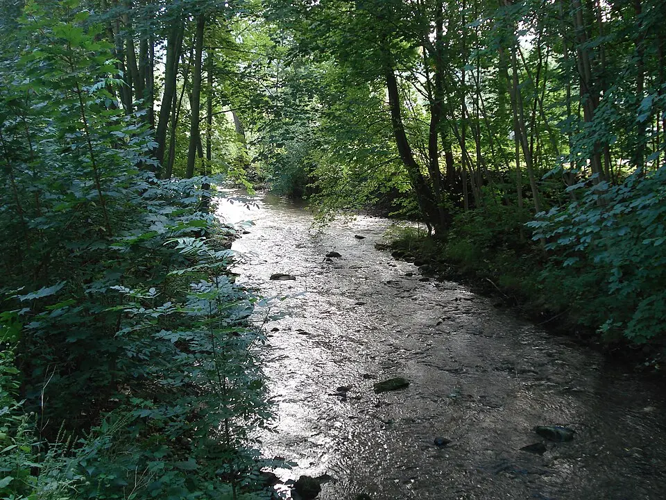 Wilde Gera