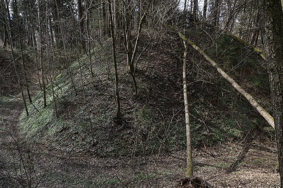 Mittelalterliche Wehranlage (Turmhügel) bei Gerbersdorf
