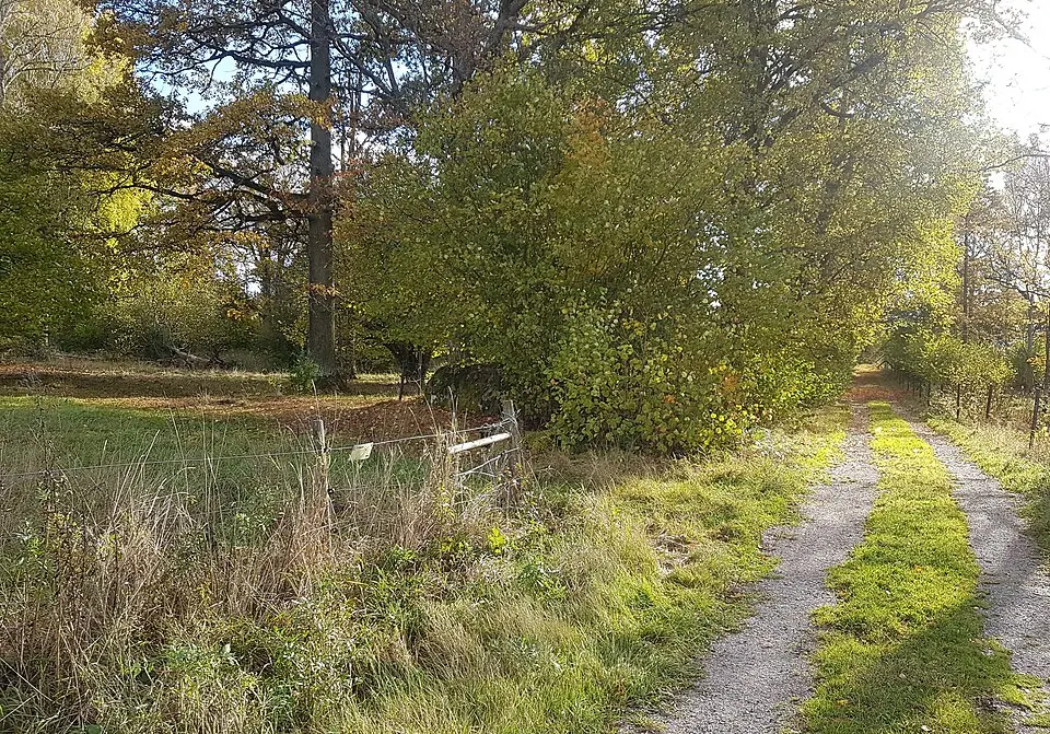 Geråsen