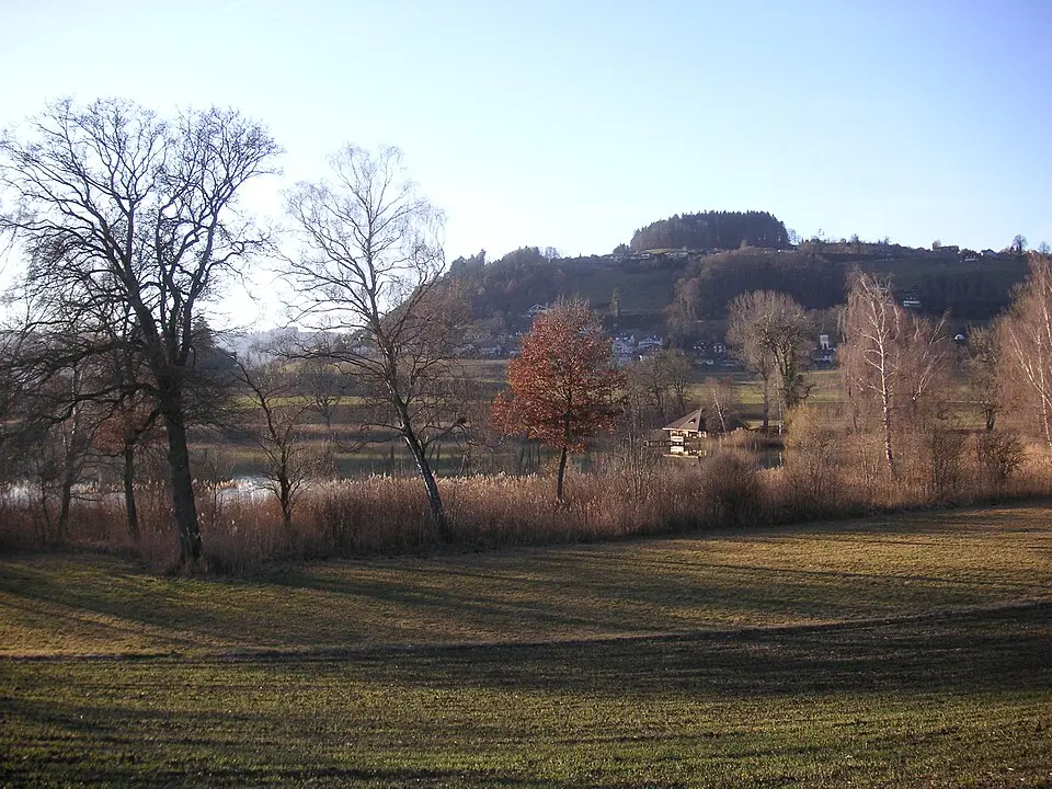 Burg Gerzensee
