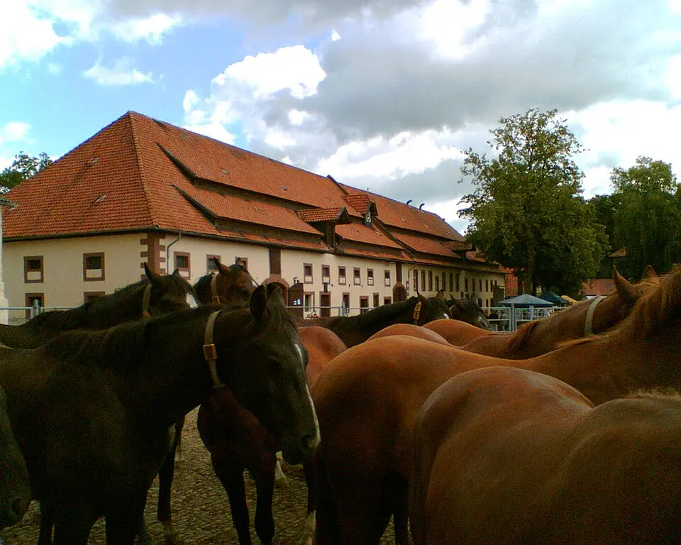 Hunnesrück