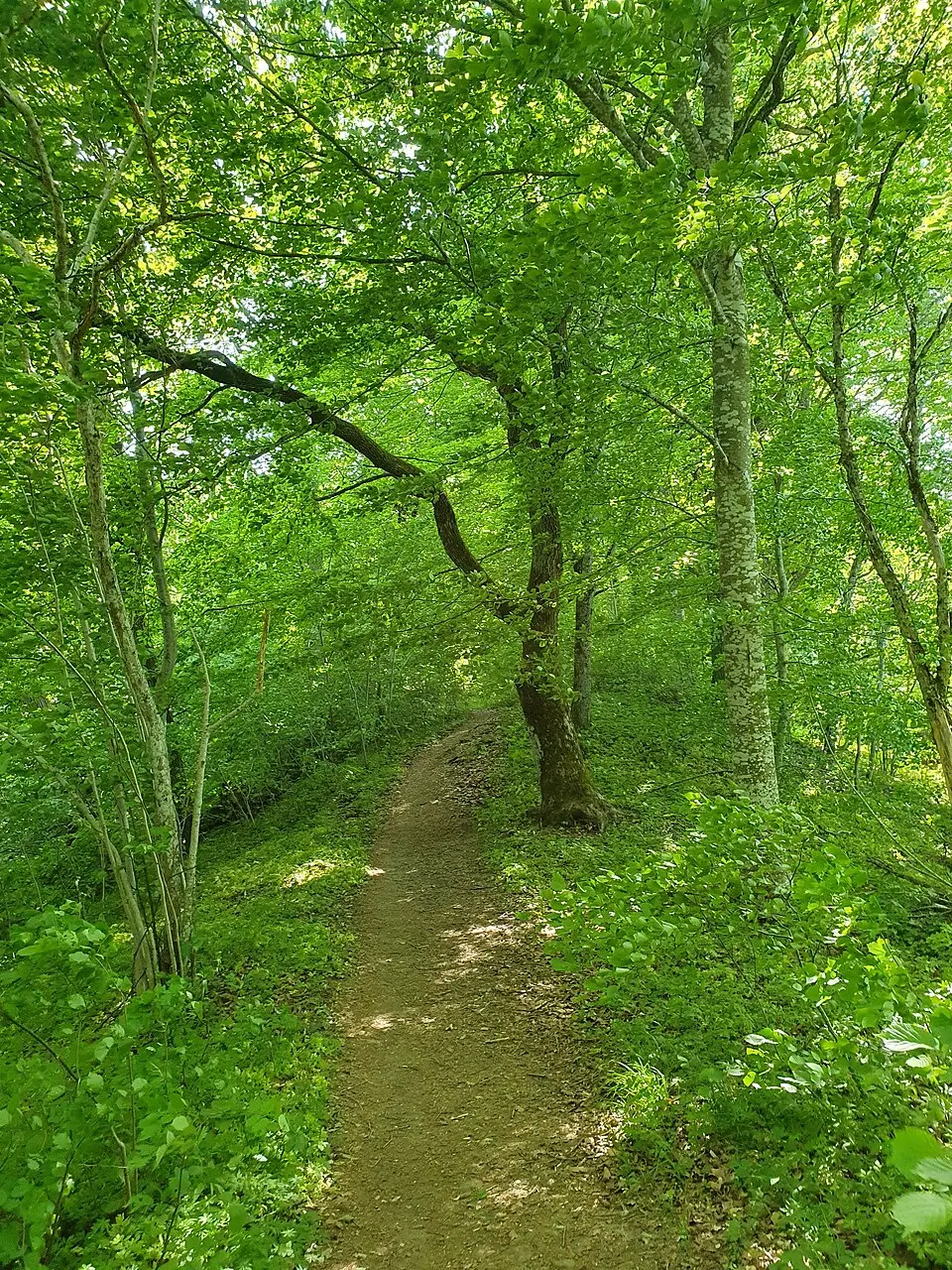 Getaryggens naturreservat