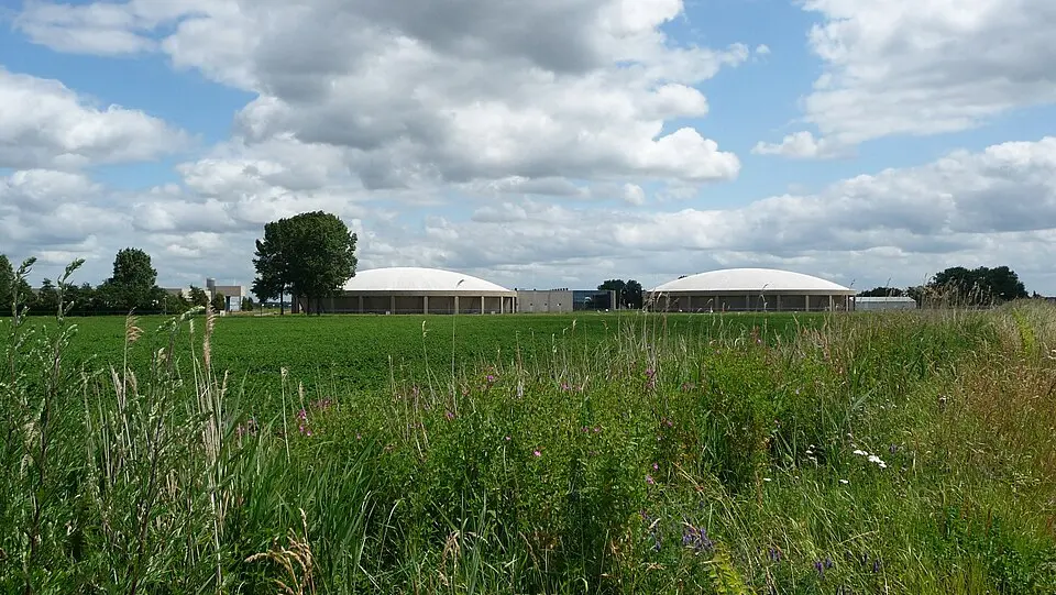 Beerenplaat