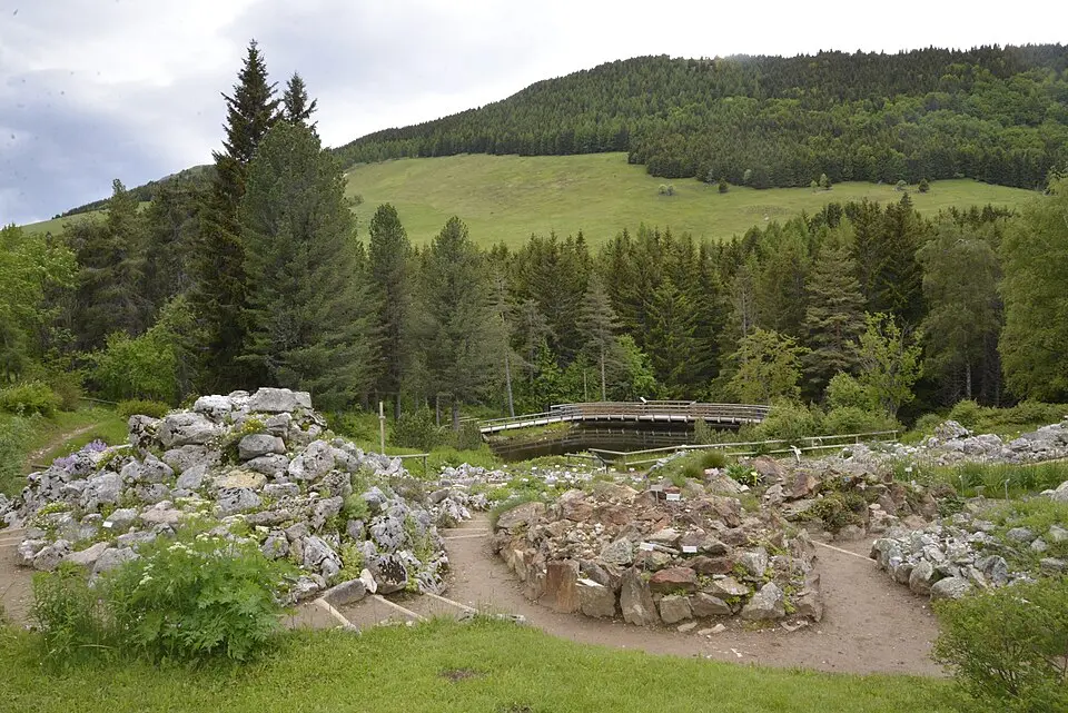 Botanischer Alpengarten Viote