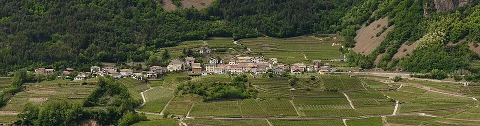 Ceola