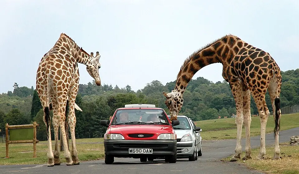 West Midland Safari & Leisure Park