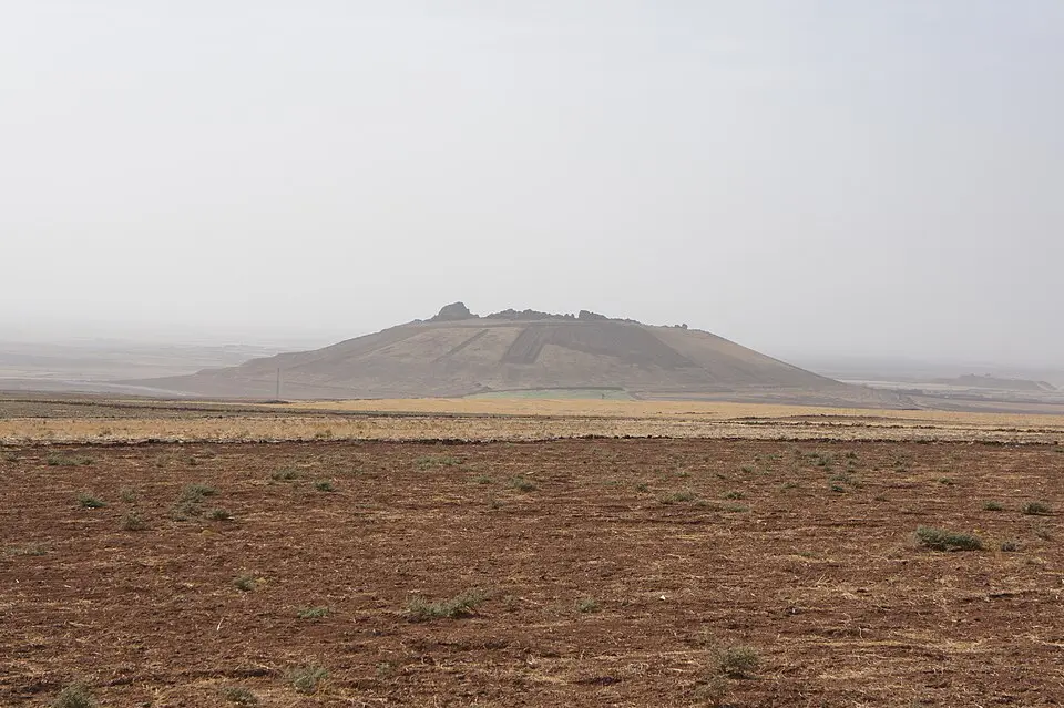 Kuşçu