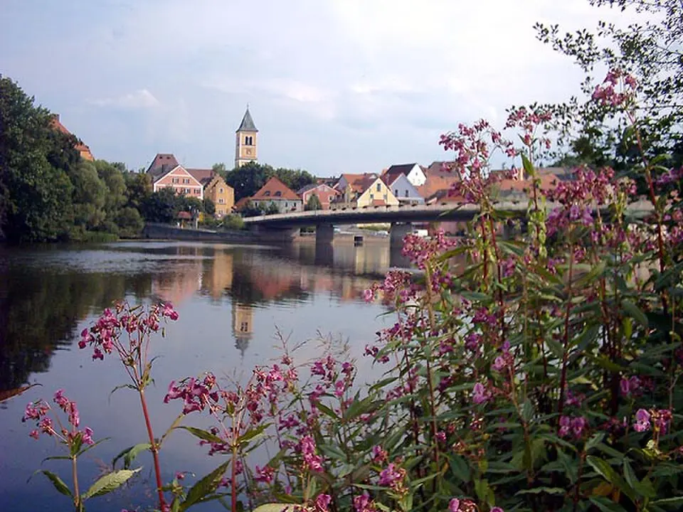 Schwandorf járás