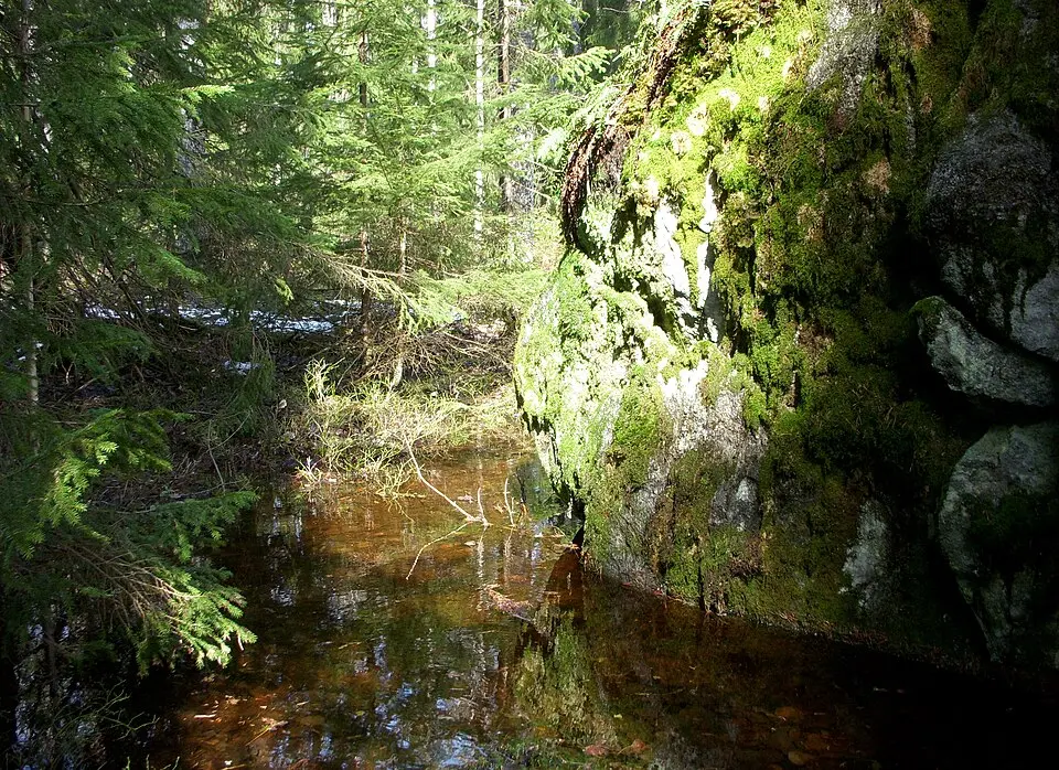 Gladöskogens naturreservat