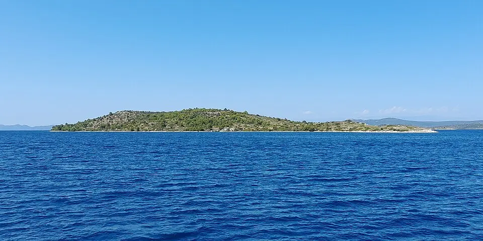 Glavoč