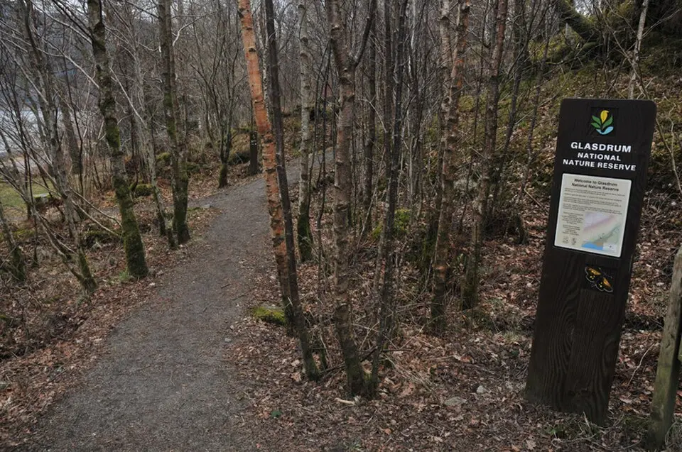 Glasdrum Wood National Nature Reserve