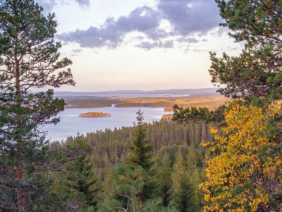 Glaskogen