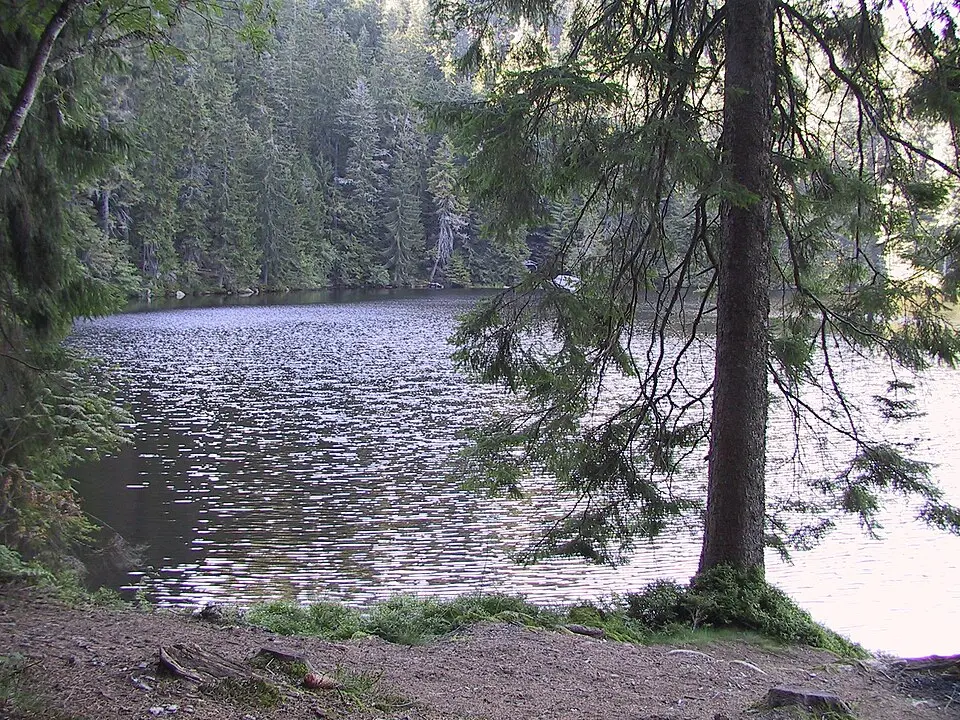 Glaswaldsee