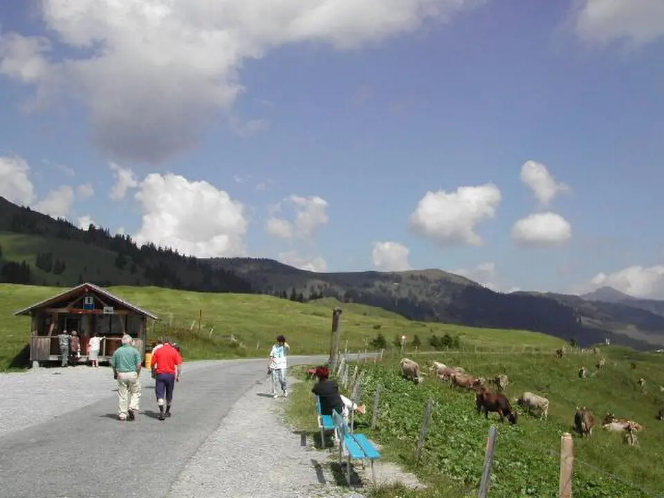 Glaubenbühlpass