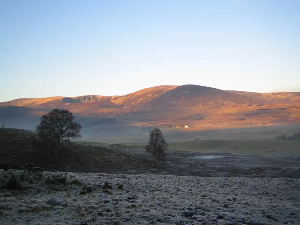 Ben Tirran