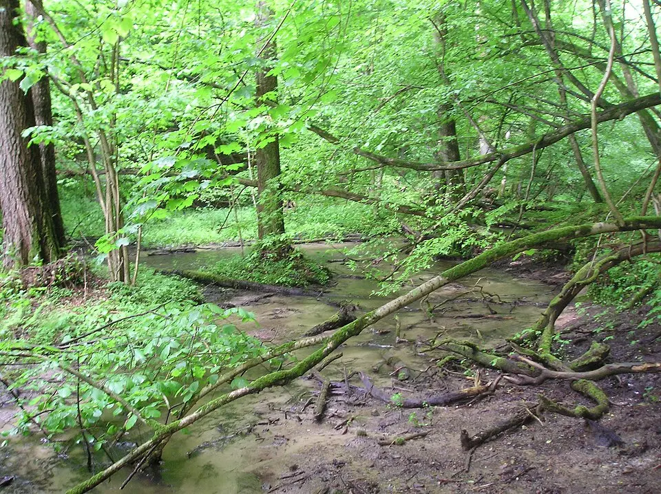 Górznieńsko-Lidzbarski Park Krajobrazowy