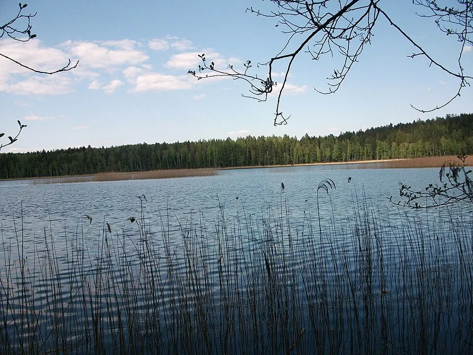 Глубля