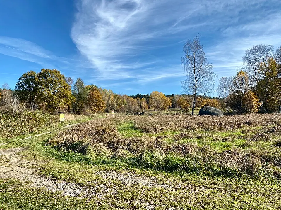 Blockheide