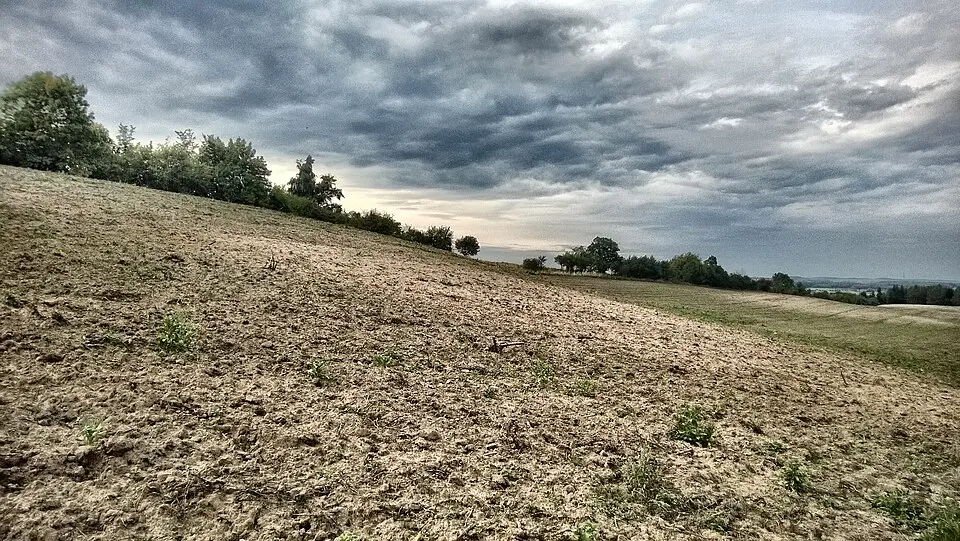 Rezerwat przyrody Słoneczne Wzgórza