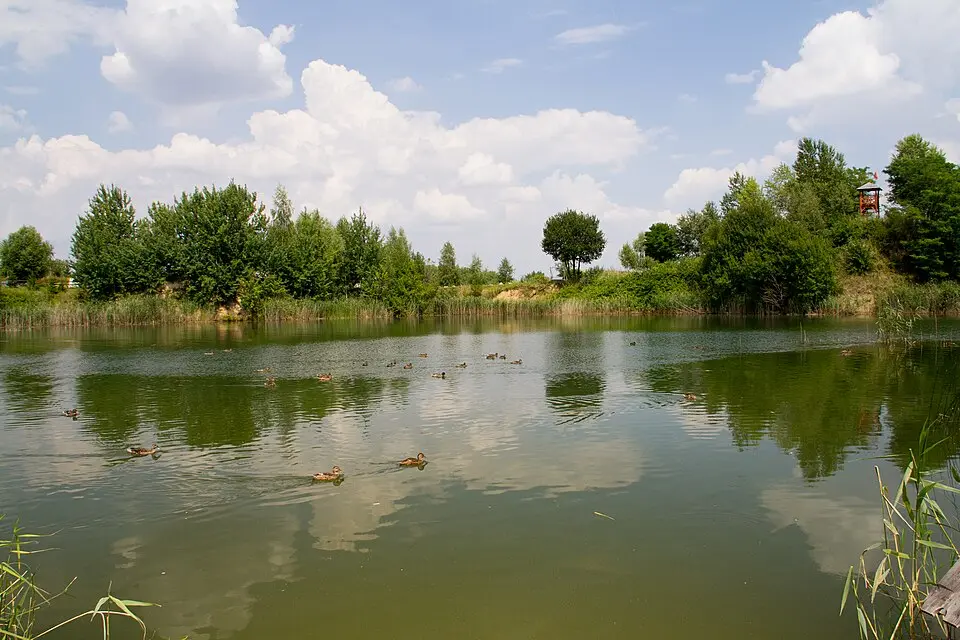 Dzierżoniów