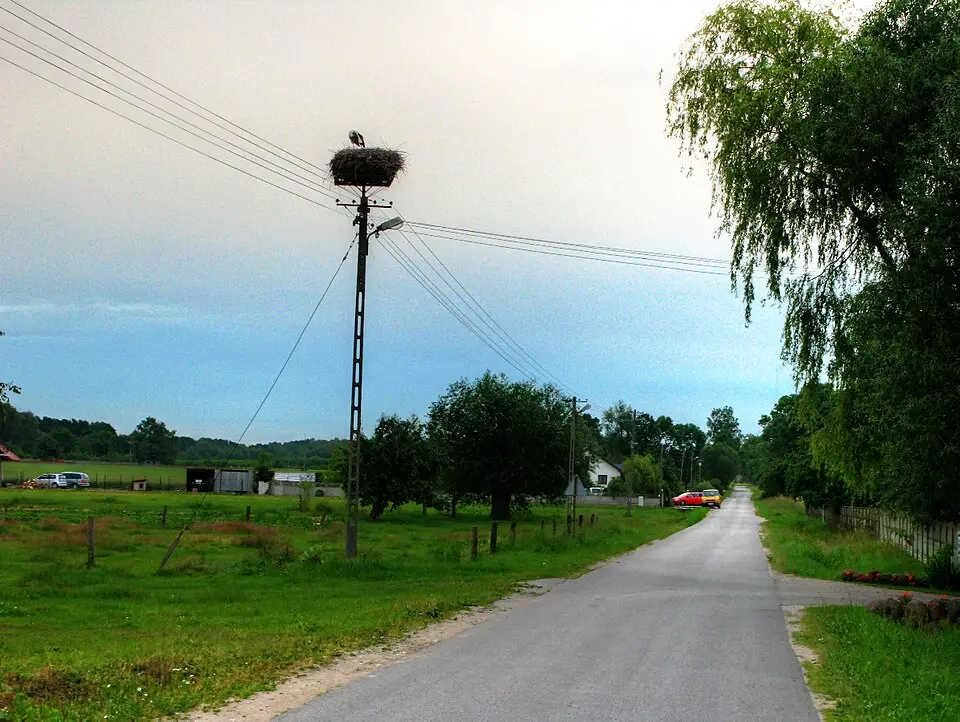 Aleksandria